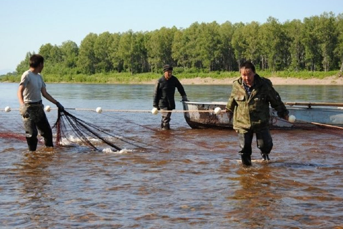 На Колыме представителям КМНС выплатят по 3900 рублей на приобретение путевок на рыбалку