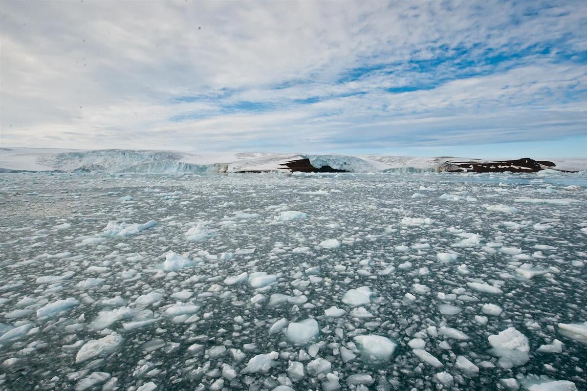 В Арктике обнаружены микроорганизмы, разрушающие нефтепродукты