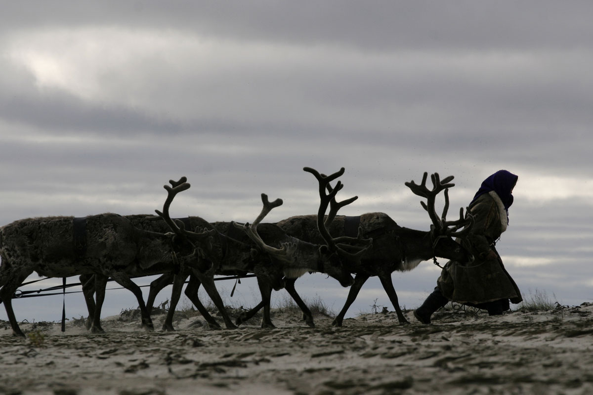 Какими проблемами сейчас озабочено коренное население Арктики?