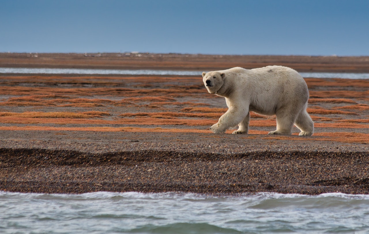 Поморье готово к дальнейшей реализации мероприятий Арктического совета