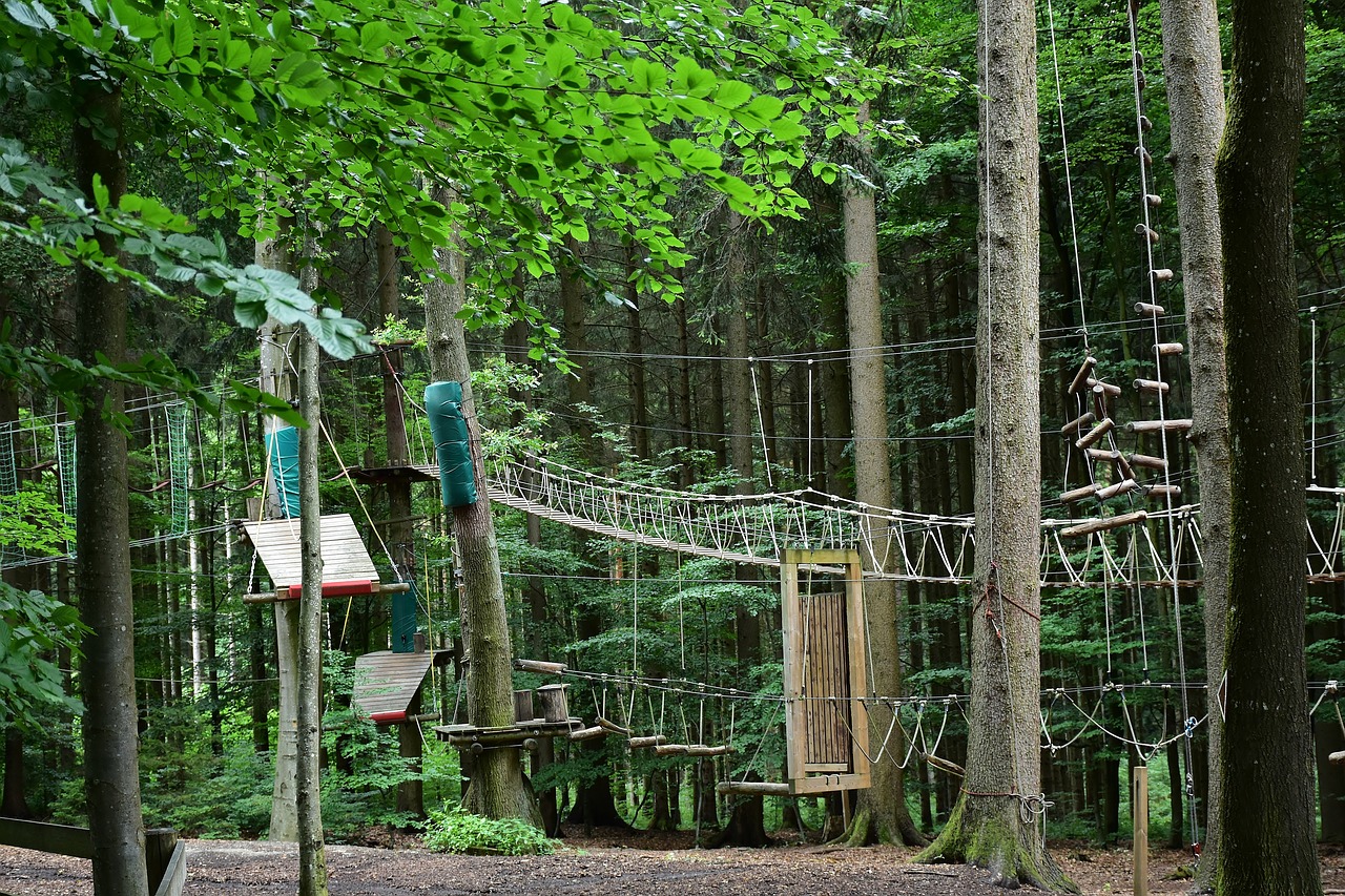 В Ханты-Мансийске на территории музея открыли веревочный парк «Каснэ Маа»