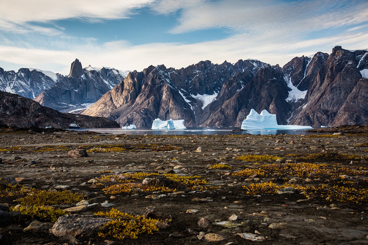 Создана цифровая модель для мониторинга природной среды в Арктике