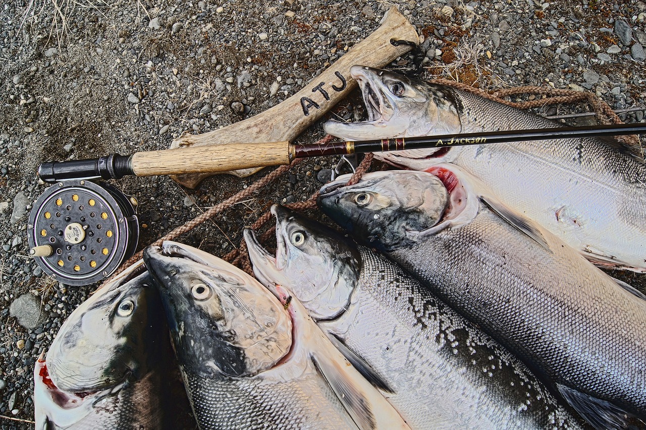 Камчатка рассказала о задачах в сфере традиционного рыболовства