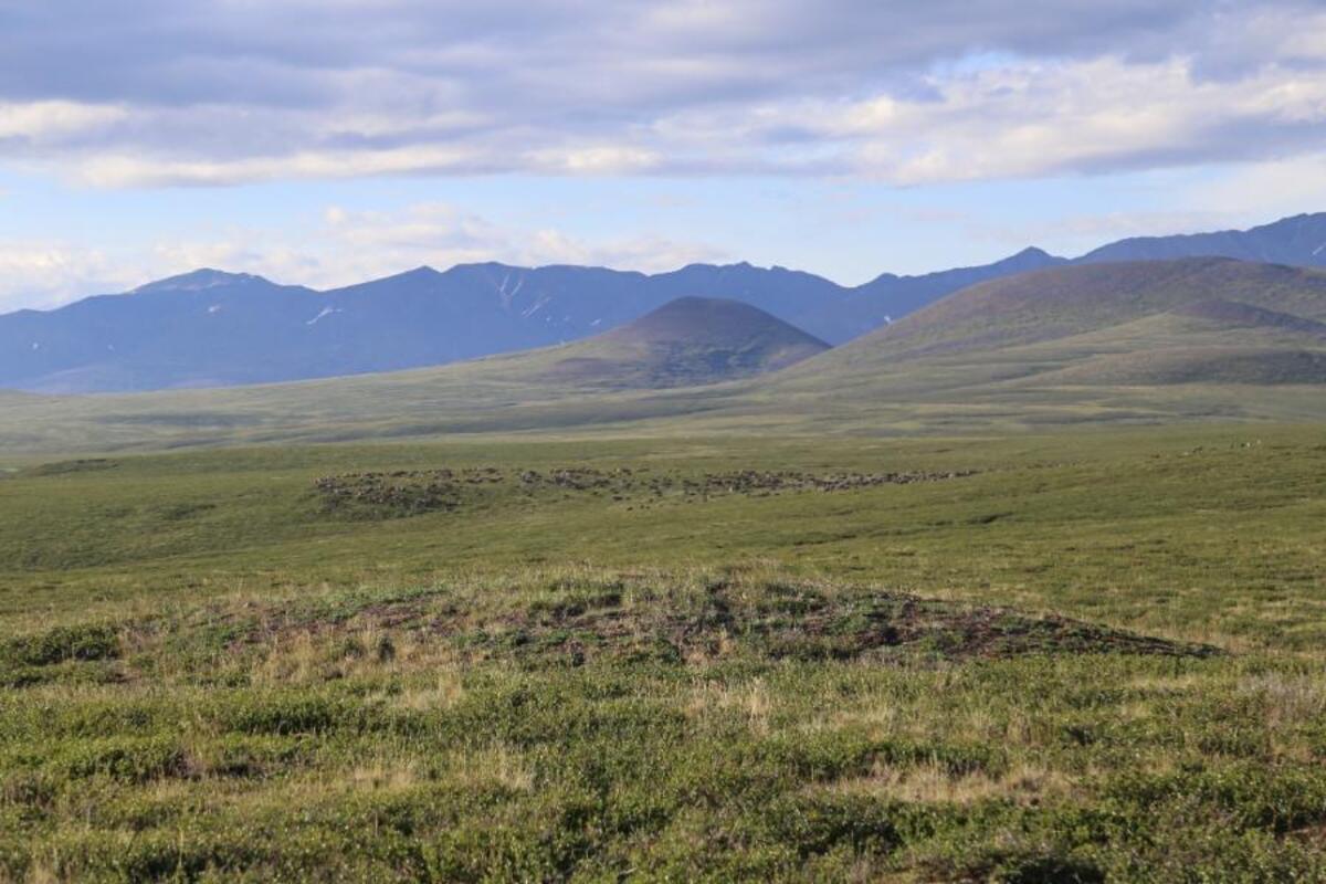 Учёные проводят исследование уникальной местности в Якутии