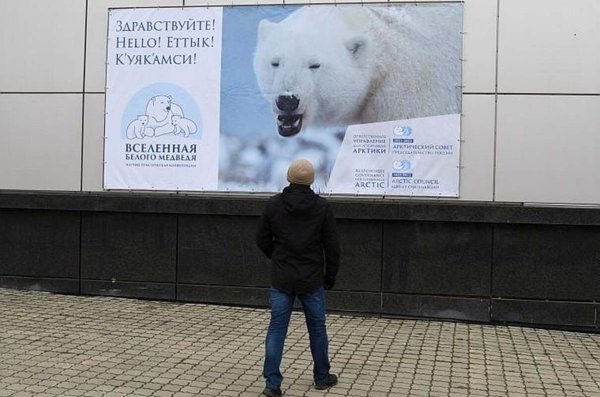 «Вселенная белого медведя» воцарится на Чукотке с 28 по 30 сентября