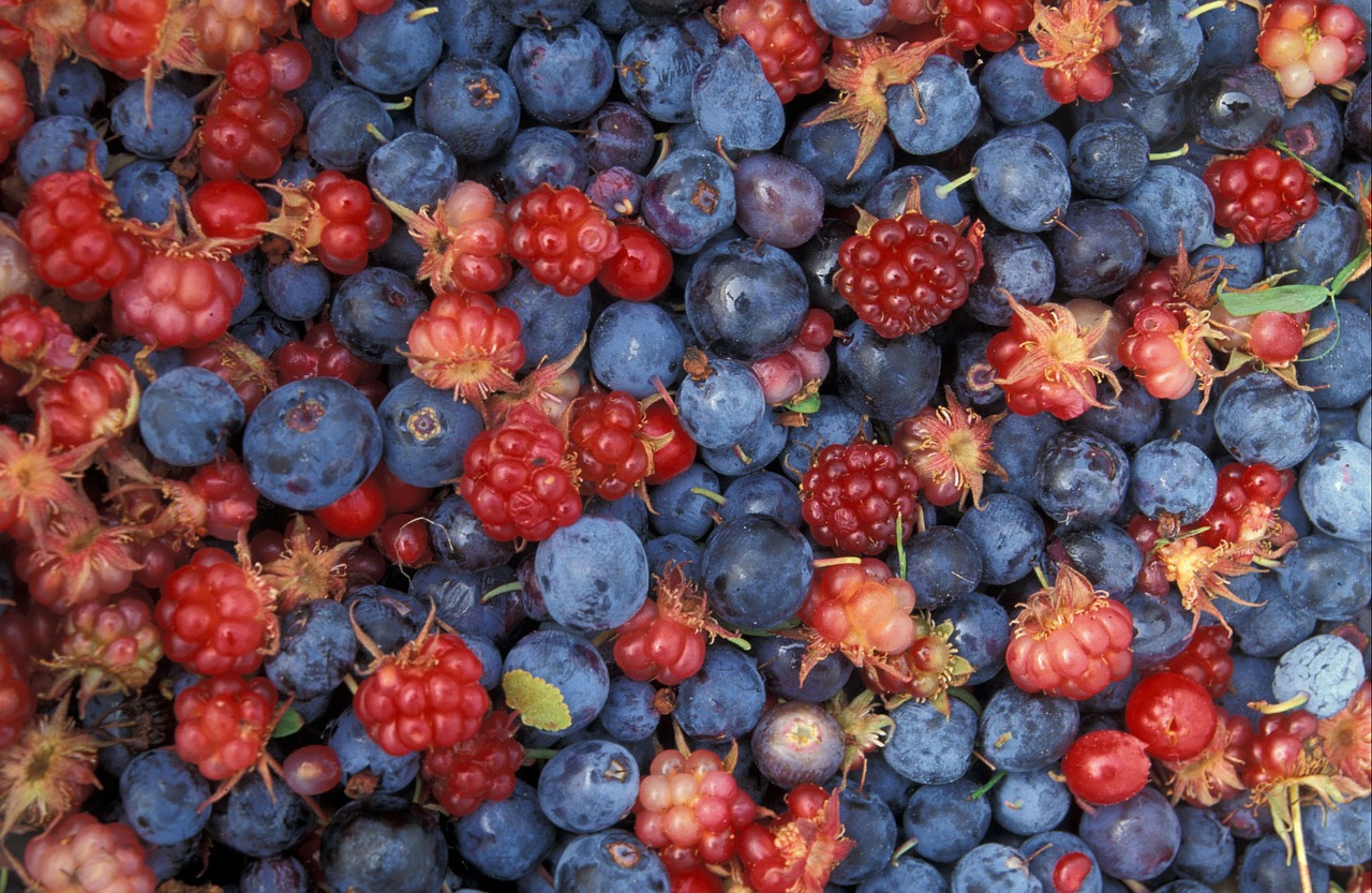 Ученые НИЦ «Арктика» рассказали о пользе колымских ягод