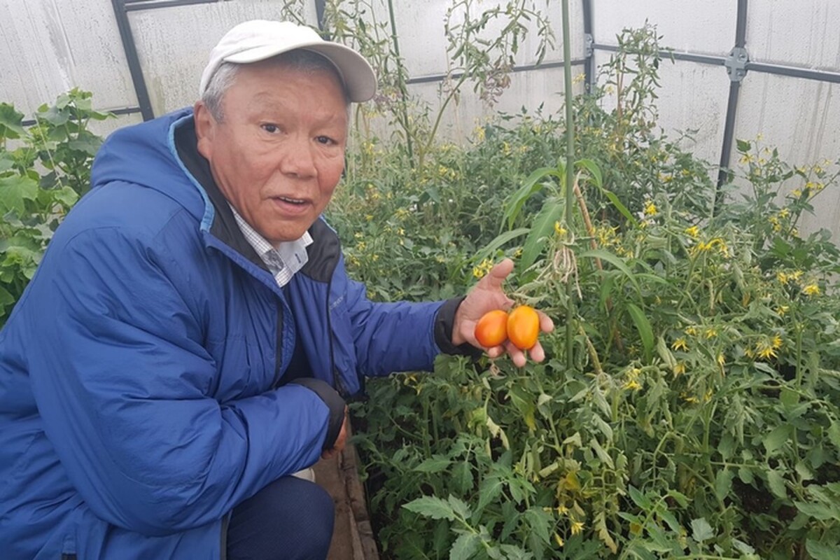 Прорыв в полярном земледелии: житель Сеяхи вырастил на Ямале овощи