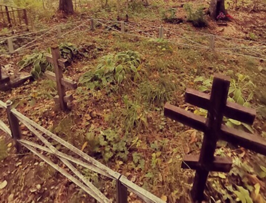 Вожане Ленобласти сетуют на вырубку леса вокруг деревенского кладбища