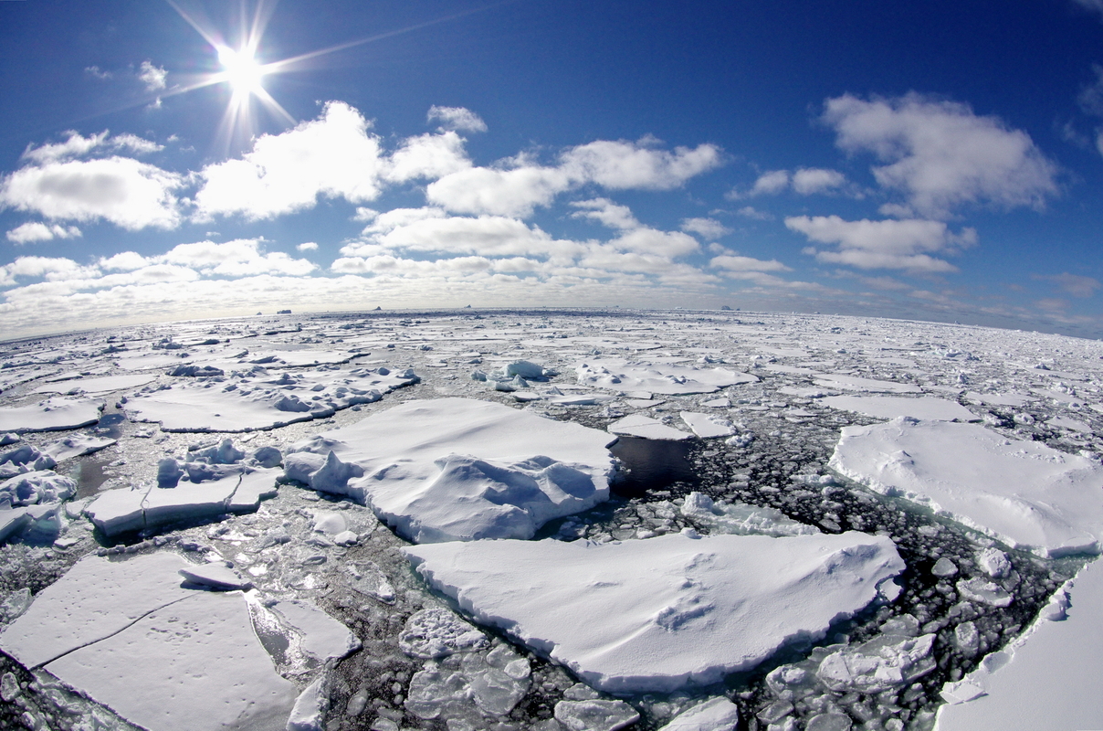 В Арктике и Антарктике стремительно увеличивается площадь морского льда