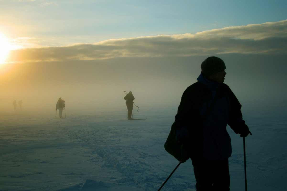 Молодые учёные Красноярского края получат гранты на изучение Арктики