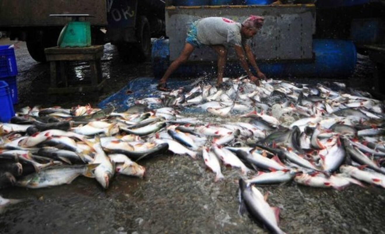 ООН объявила 2022 Международным годом кустарного рыболовства