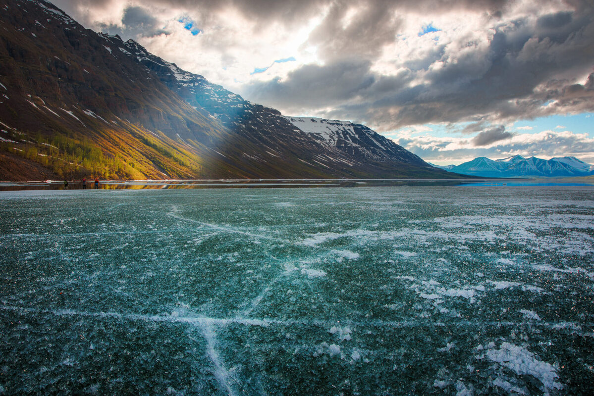 Эксперты CAFF оценили биоразнообразие в реках и озерах Арктики