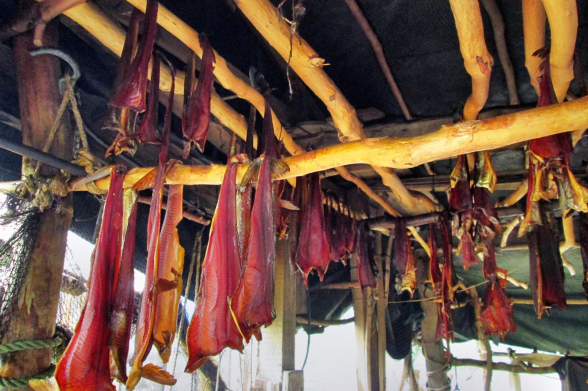 Сушеную икру с корой и суп из полыни можно отведать на Камчатской выставке