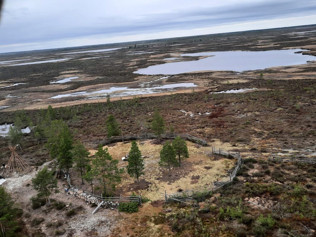 Якутия продолжит проект по сохранению таежного оленеводства
