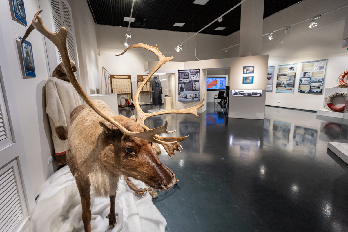музей художественного освоения арктики