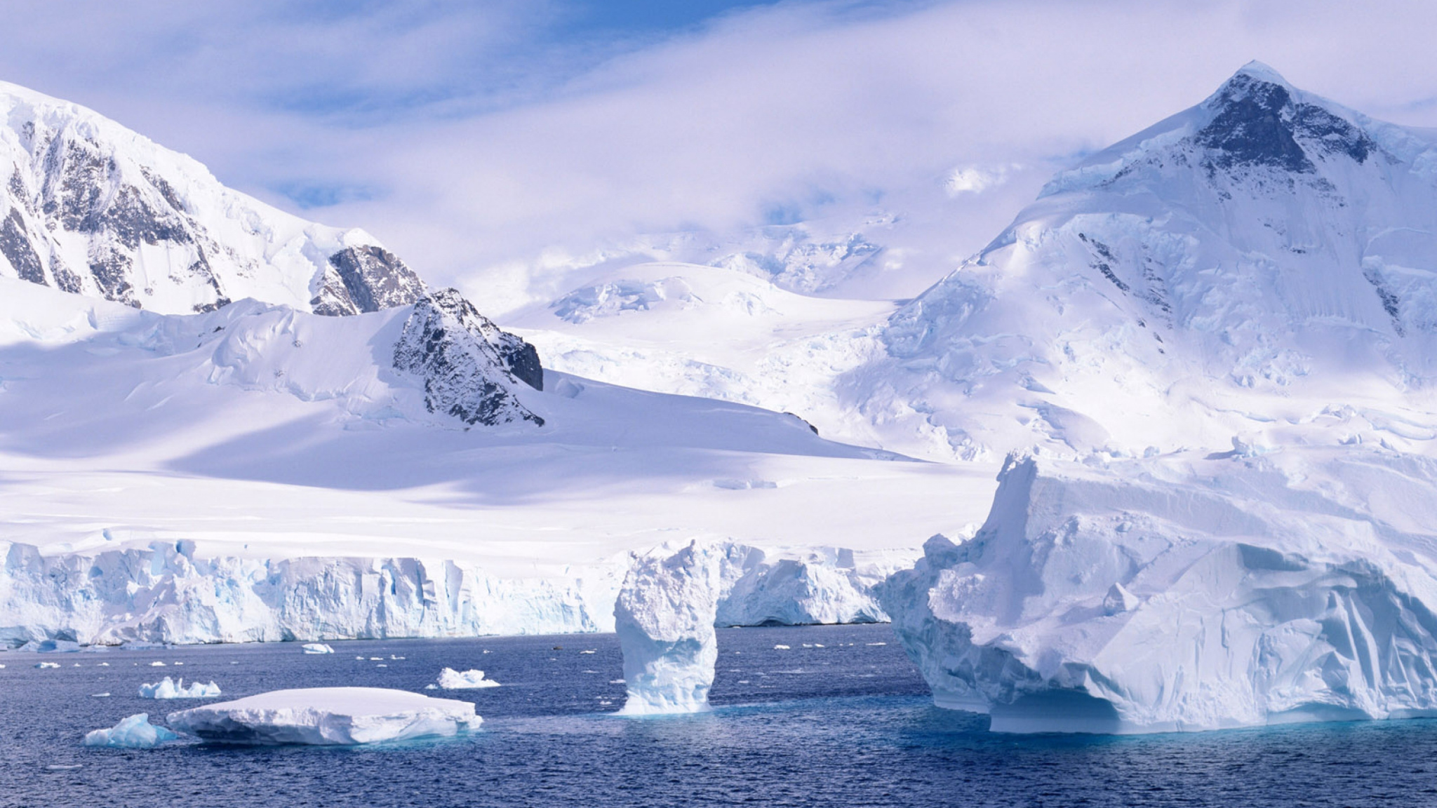 Почти 30 организаций вошли в медицинский концорциум Арктики
