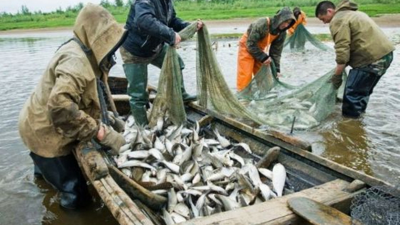 День рыбака отметят эвенки и негидальцы в Хабаровском крае