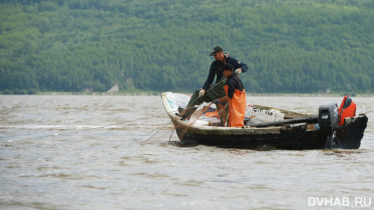 На Амуре добавили квоты на осеннего лосося… рыбопромышленникам