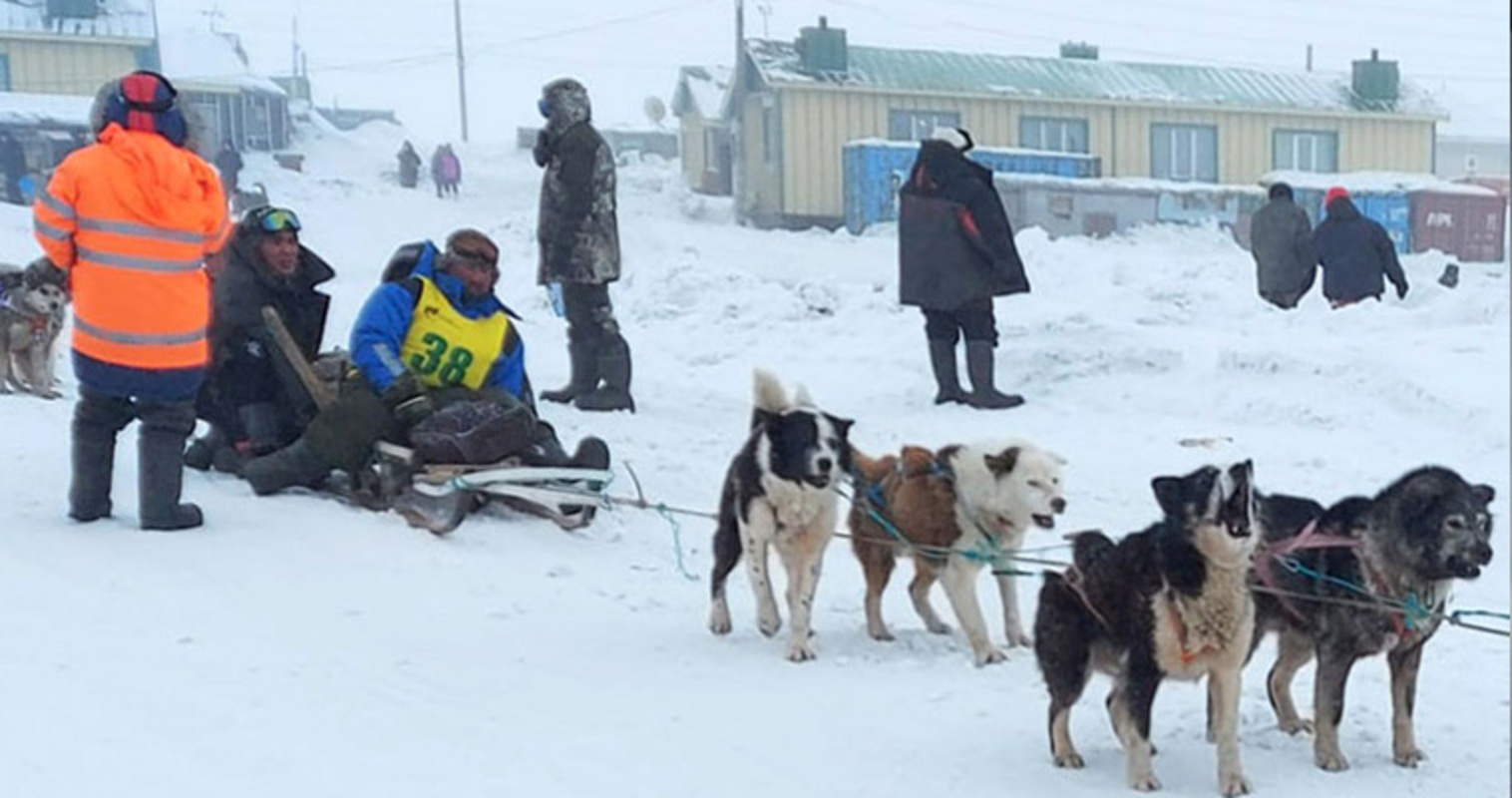 На Чукотке в конце марта стартует гонка на собачьих упряжках «Надежда-2023»