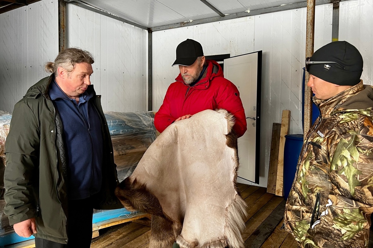 В посёлке Нельмин-Нос запустят цех по обработке шкур северного оленя