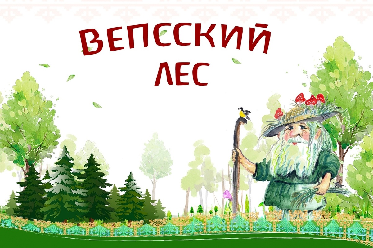 «Vepsän mec – Вепсский лес» ждёт гостей 11 июня в Ленинградской области