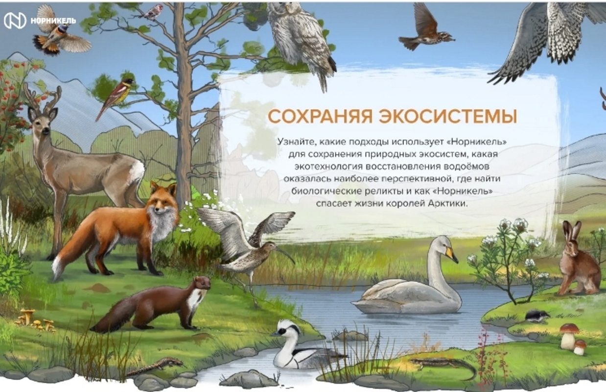 В Красноярске презентовали новый интернет ресурс про жизнь в Арктике