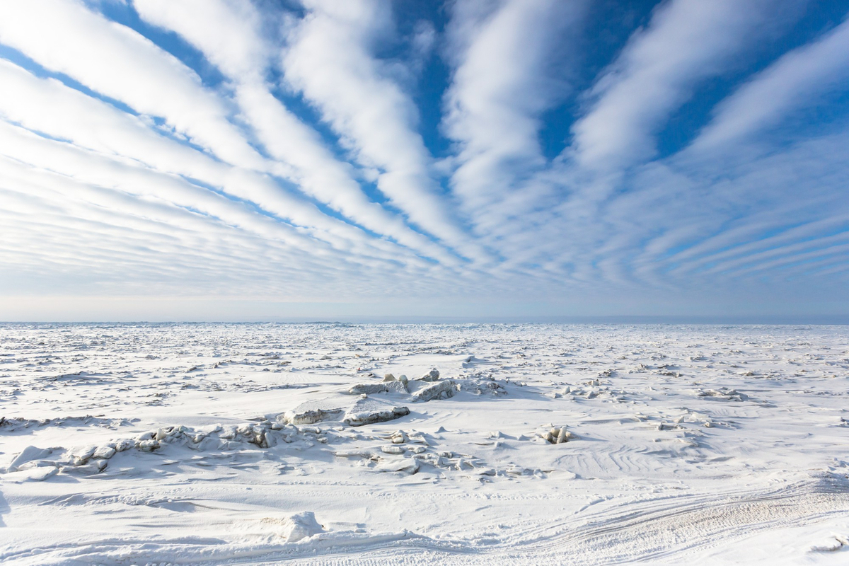 В Госдуму внесли проект о включении в Арктическую зону двух районов Югры