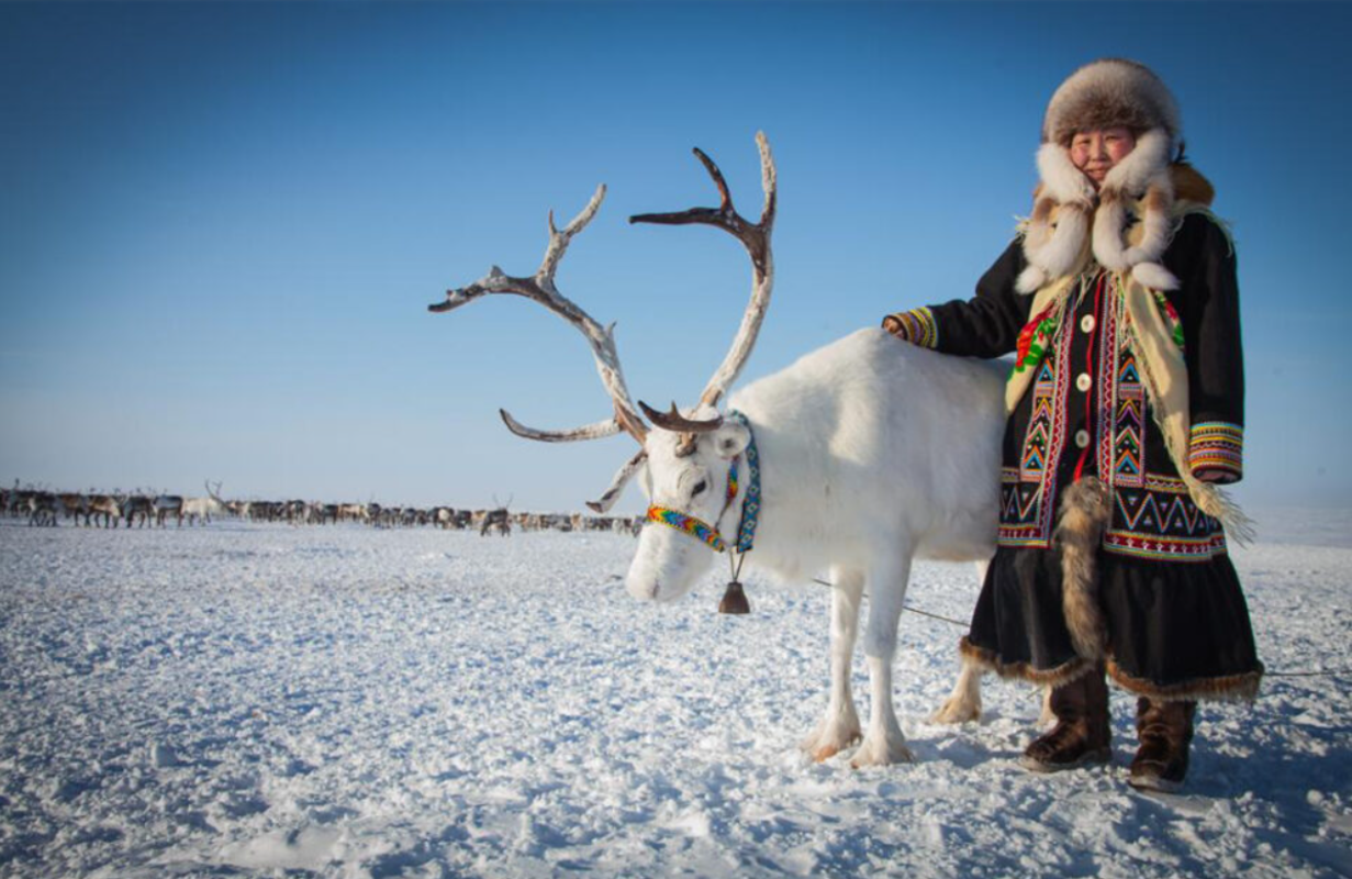 Известные люди севера. Саха Якутия якуты. Республика Саха Якутия олени. Эвенки в тундре. Народы севера.