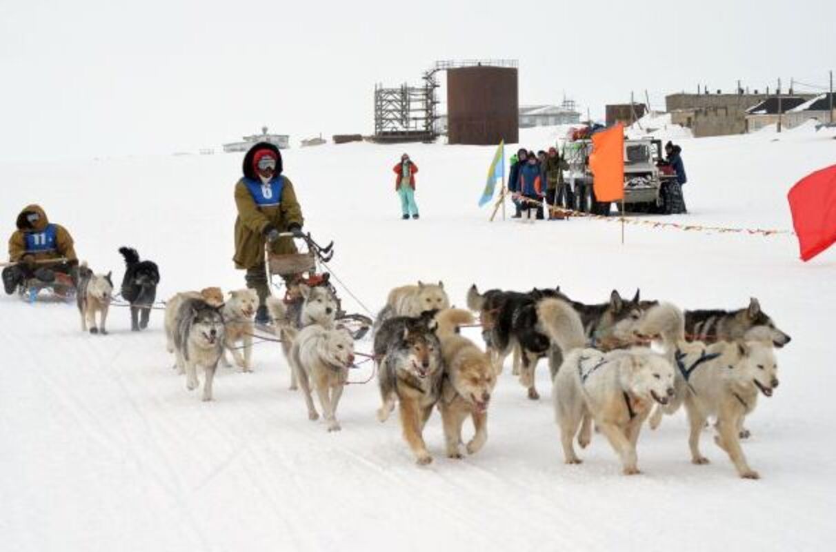 Чукотская гонка на собачьих упряжках «Надежда» стартует 30 марта