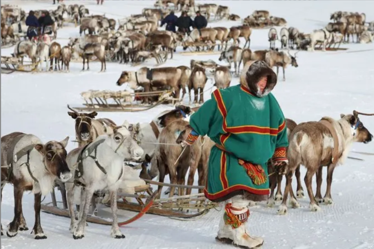 Труженики тундры на Ямале получат дополнительные меры поддержки